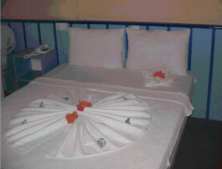 Pamukkale Hotel Didim Værelse billede